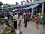 chuadanga vegetable market
